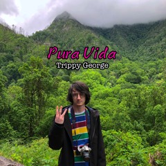 Pura Vida (raw audio)