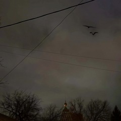 Черные Вороны (Не До Абстракций II) (feat. Loc-Dog)