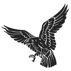 TechnoHawk Flies Again