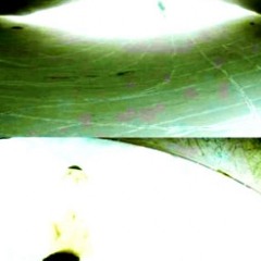 My Attention