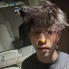 PLAYBOI CATI LOGENZ (DUBSTEP)