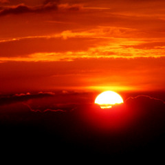 Sweet In The Morning