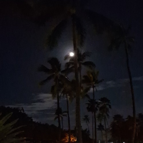 Please Stay 'small bass