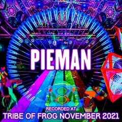 Pieman - Recorded at TRiBE of FRoG Intergalactic Space Frog 2021 (Room 4 - Liquid, DnB)