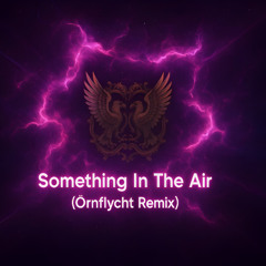 22Bullets & Pascal Letoublon feat. MERYLL - Something In The Air [Örnflycht Remix]