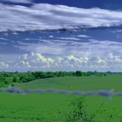 Shamewave - Back Home [The Beach Boys]