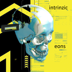 Pieces_Intrinzic_out_2025_03_07