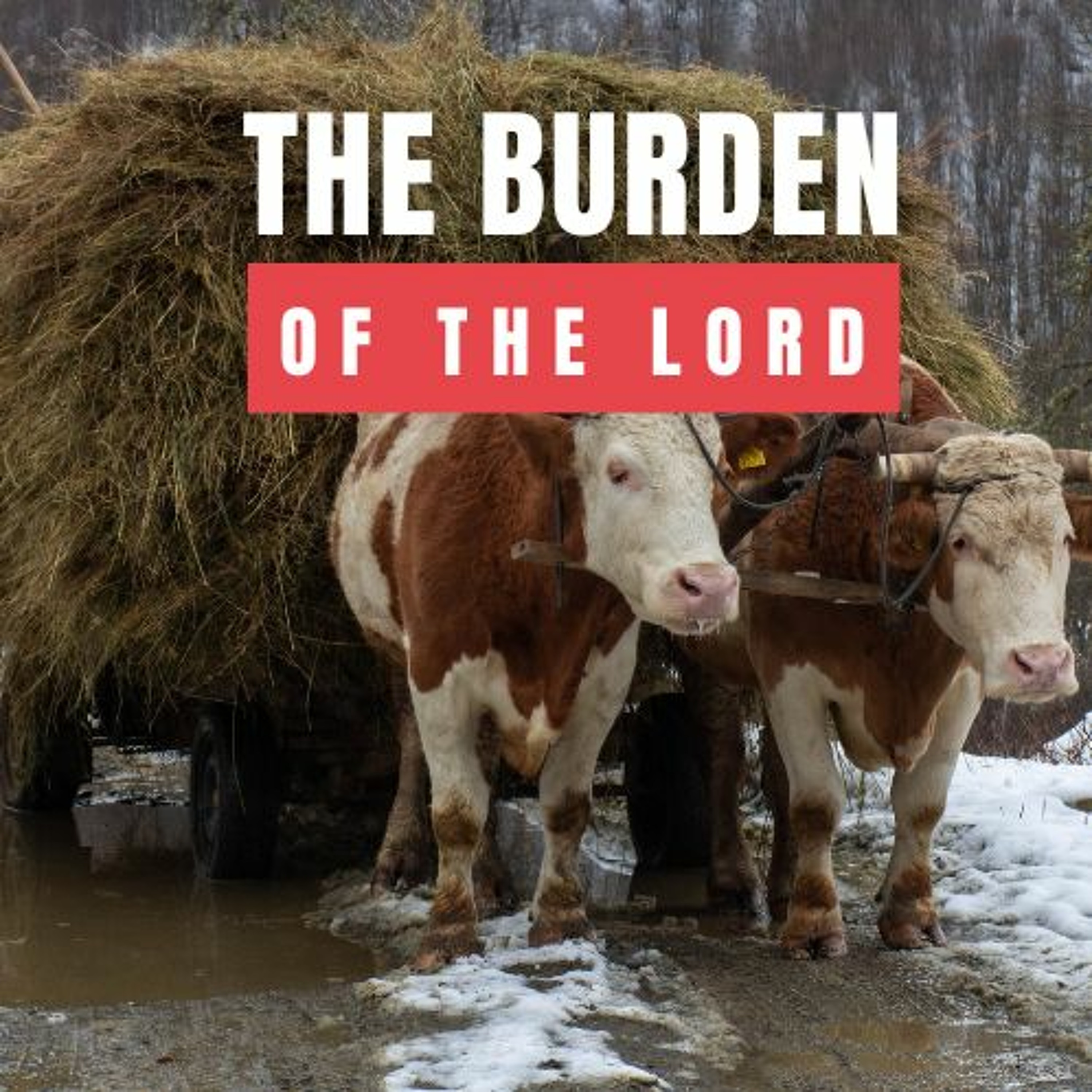The Burden of the Lord (PT. 1) // Pas Subash Cherian episode artwork