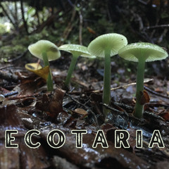 Ecotaria -Extended Mix