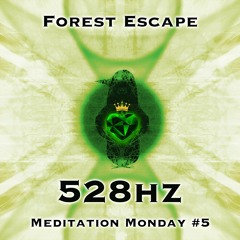 Week #5 Forest Escape (528Hz)