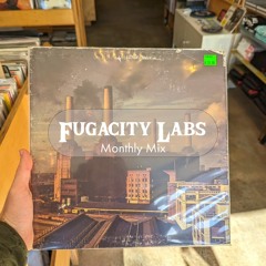 Fugacity Labs Ep 30