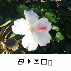 mikro