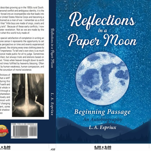 Reflections in a Paper Moon Chapter 18 The Rain of Hanoi Hannah