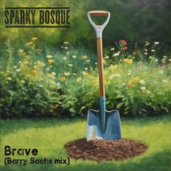 Brave (Barry Sachs mix)