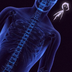 Spine Feeling