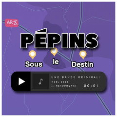 Pourquoi tu veux pas v'nir à la fête de Noël (Noël 2022 - Netophonix)