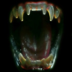 BADGIRLSPIT - Raiika, moth.sanctuary