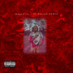 Magnolia - Playboi Carti (Leon Huxley Remix)