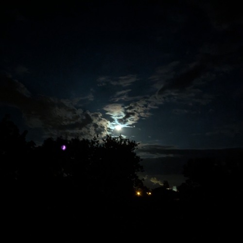 Dämmerung