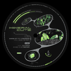 • PREMIERE • Stressman - House The Party [MINERAL09]