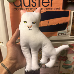 Constellations duster cover