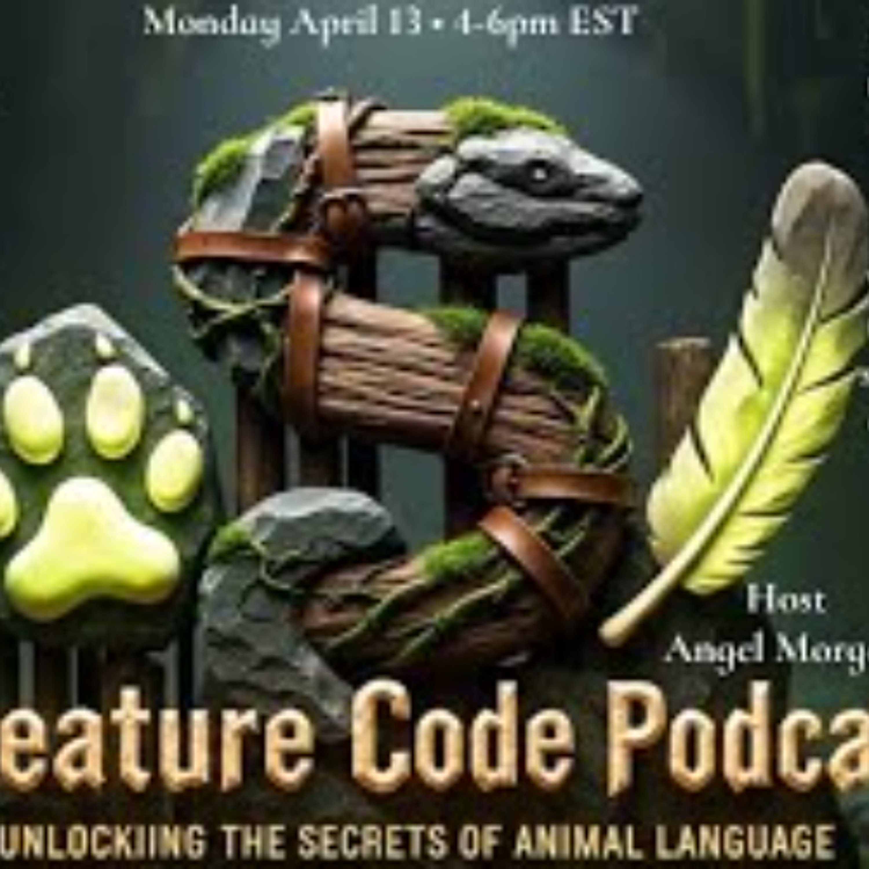 The Creature Code -Healing Your Pets & Paranormal Investigations with June Blackburn episode artwork