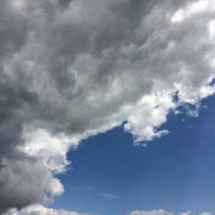 Wonderful fruit soup