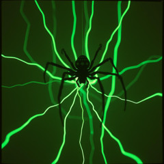 It’s Crawling in the Wires