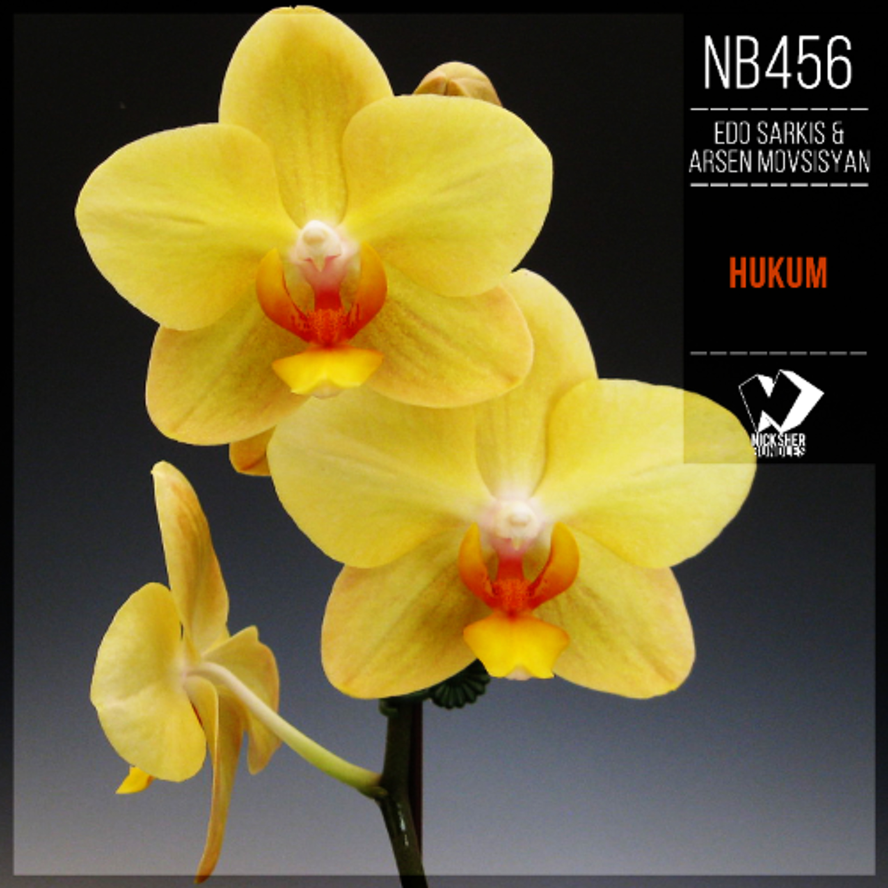 Edo Sarkis & Arsen Movsisyan - Hukum (Chillout Mix) episode artwork