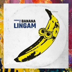 PREMIERE: Lingam — Banana (Original Mix)