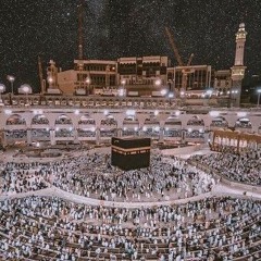 تِلْكَ آيَاتُ الْكِتَابِ الْمُبِينِ.🤎 | آيات السكيّنة  .