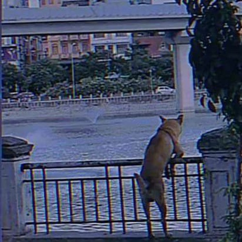 Chạnh Lòng Thương Cô 2 -Huy Vạc (lofi ver)