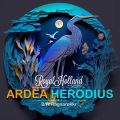 Ardea Herodius