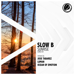 PREMIERE: Slow B - Sunrise (Ocean of Emotion Remix) [Consapevole Recordings]