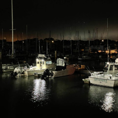 veins w/ brxy (@prod_kovex)