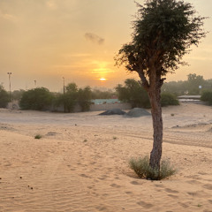 تغرودة بصوت الشيخ سالم بن مسلم بن حم العامري