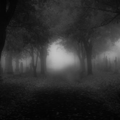 Kris Goldek - Shadows Collide