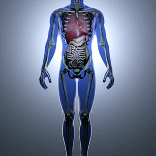 Healing Frequency Playlist