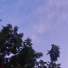 Lunatico