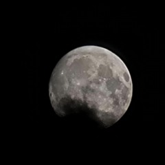 Pacrap - Юу ч үгүй шөнийн бодол