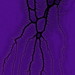 Purple Veins (FT. JMAY)