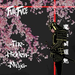The Hidden Ninja (FREE)