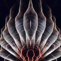 * AmixCelebratingAnExtraodinarySoul....