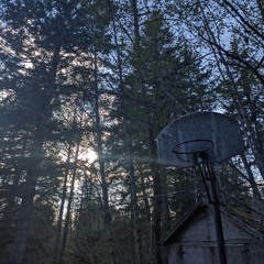 m50 + Teakup @ etc 2024.04.26