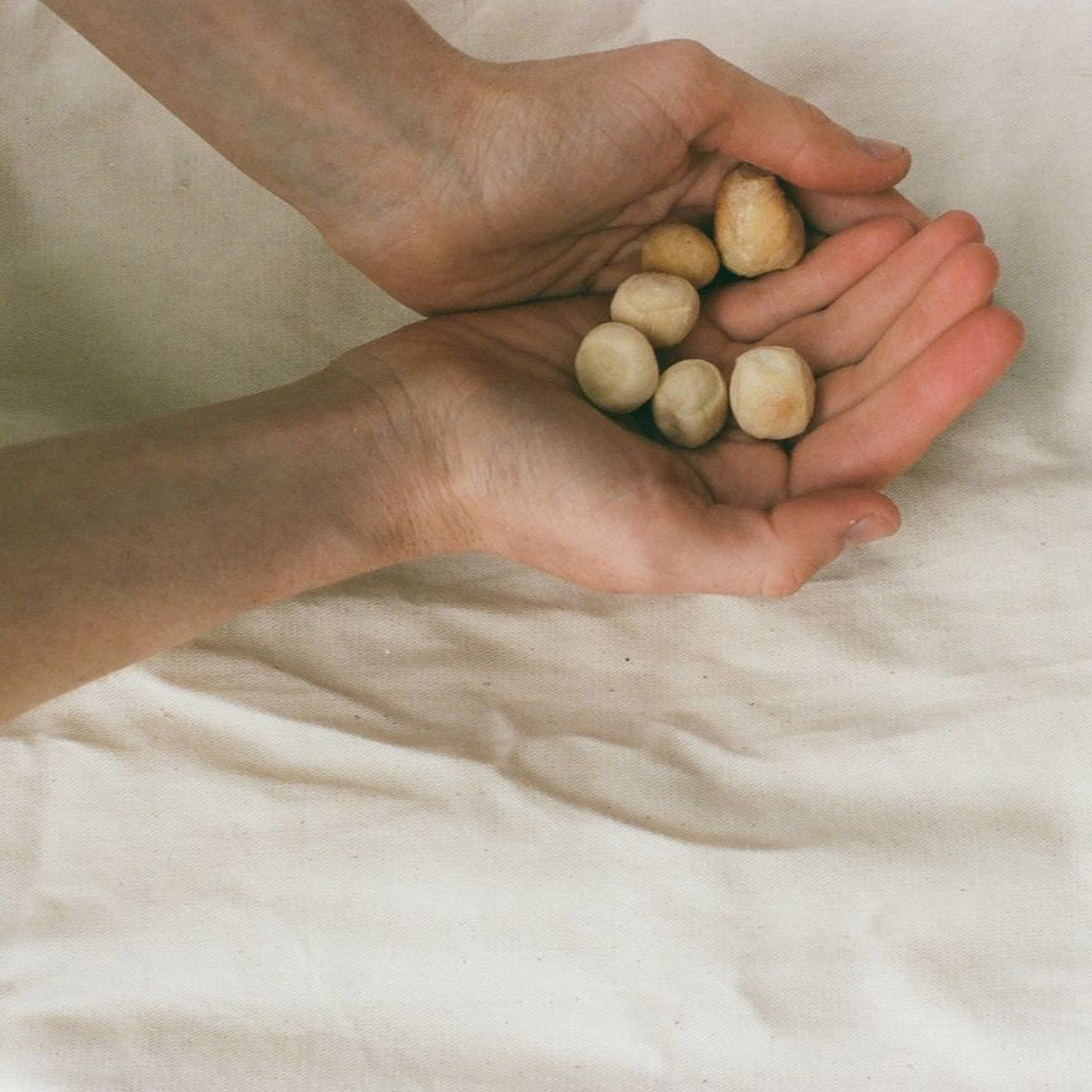 7. Sarah Boutin - Les vivants