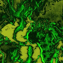 La tectonique des plaques (Tribe) (On Bandcamp)