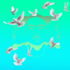 DOVES IN THE WIND (FREESTYLE)