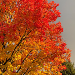 2025.10.26 - Sunday Night Chill