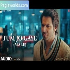 Tum Jo Gaye (Male Version) (320 Kbps).mp3