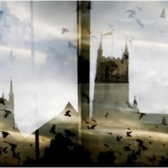 Slow Moving Perceptions on Perpetual Axis